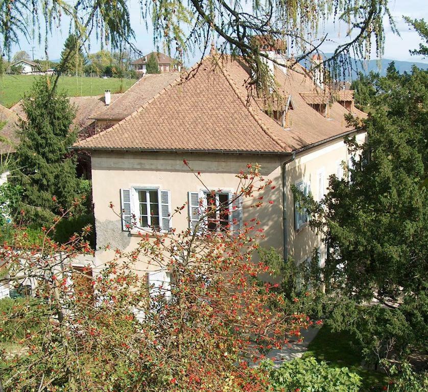 Chateau-Gaillard Corbelin Esterno foto